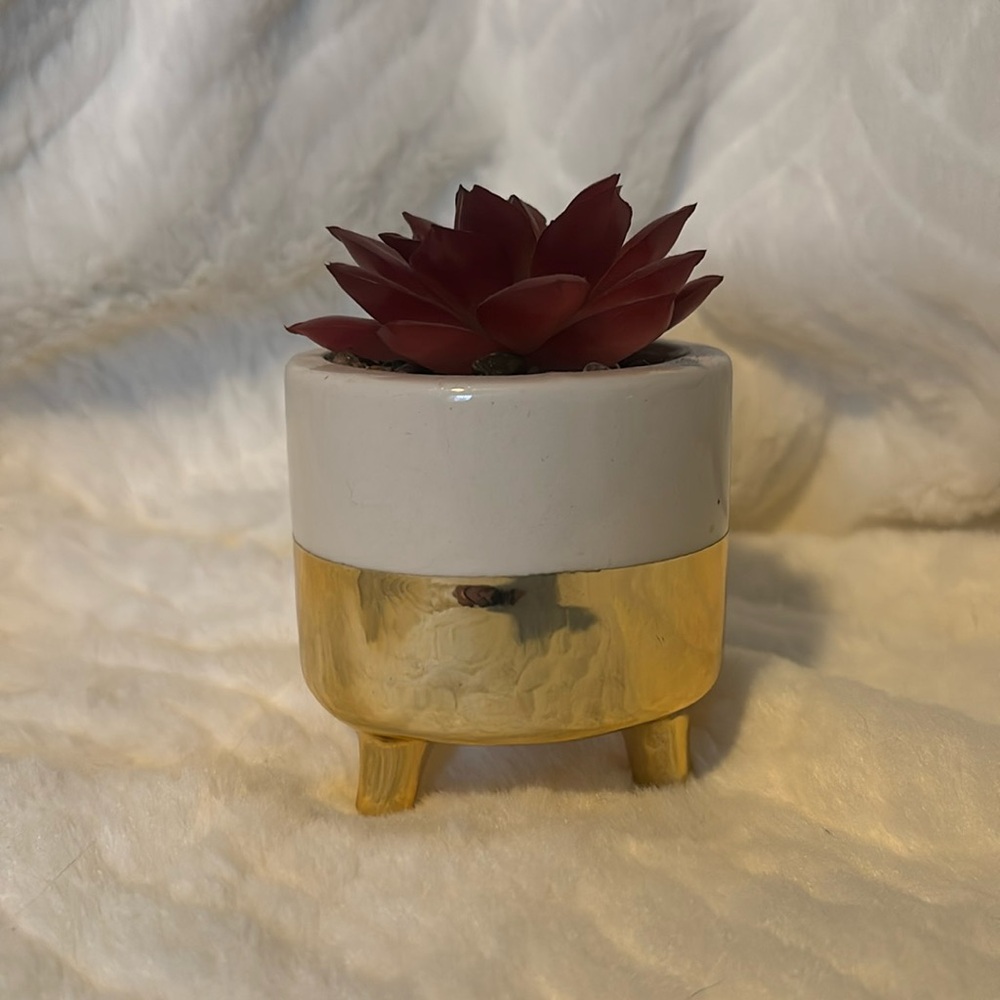 Fake succulent